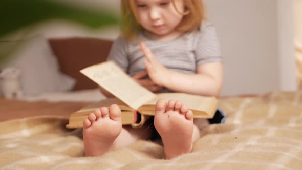 Little Girl Child Reads Book Studies