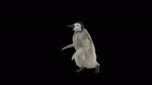 Penguin Dancing 4K alt