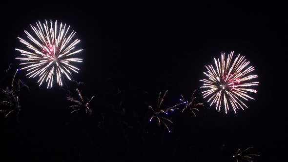 Colorful Firework display at night on sky background alt