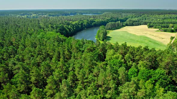 Aerial view of river and forest in sunny day, Poland alt