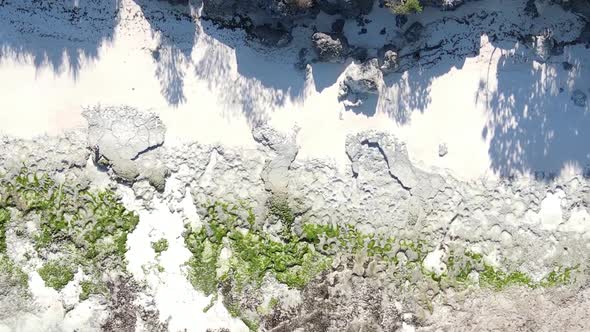 Zanzibar Tanzania  Vertical Video of Low Tide in the Ocean Near the Coast Slow Motion alt