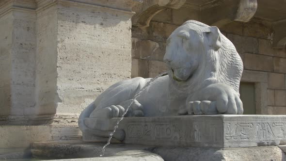 Lion sculpture at the fountain