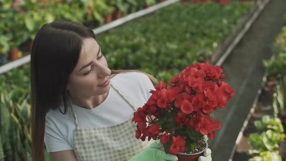 young girl farmer holding a flowerpot with greens. Greenhouse with flowers. Slow motion alt