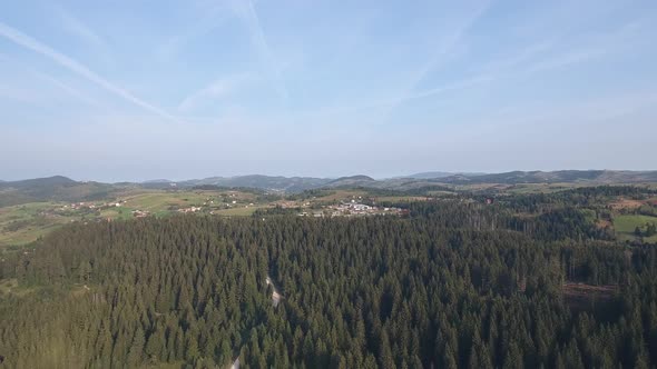 Pine Forest And Mountain Landscape alt