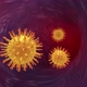 Coronavirus Covid-19 circulating inside the body - VideoHive Item for Sale