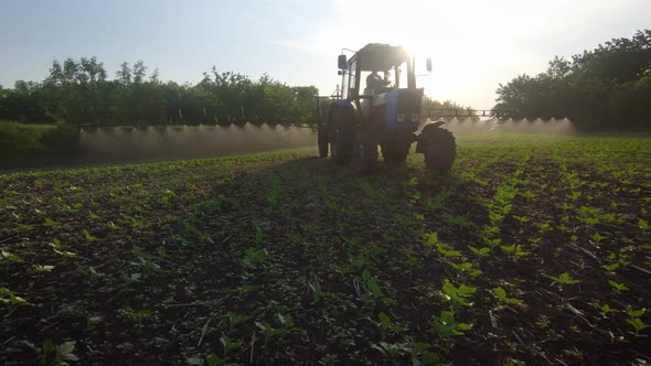 Farming Tractor Spraying on Field with Sprayer, Herbicides and Pesticides at Sunset alt