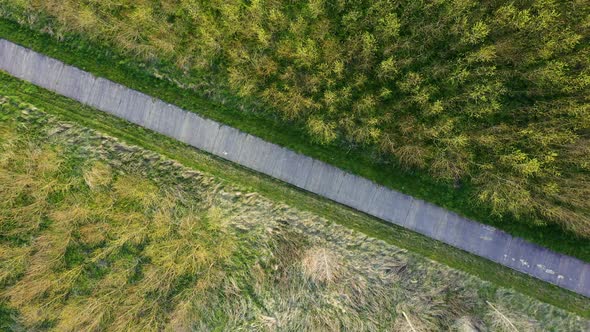 Aerial Rotating View Of A Forest Path