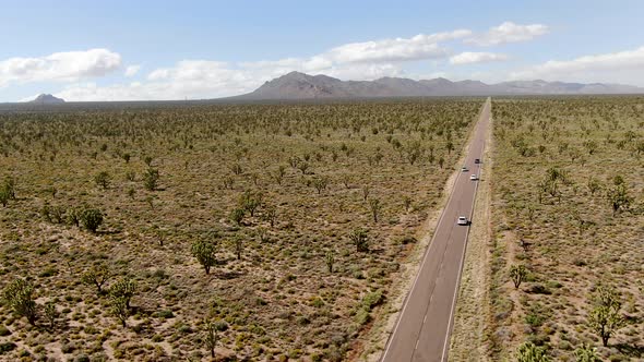 Aerial View of Endless Desert Straight Dusty Asphalt Road in Joshua Tree Park. USA. alt