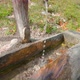 Water Runs From Standpipe Pump Into Wooden Trough in Park