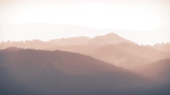 Misty Morning Landscape