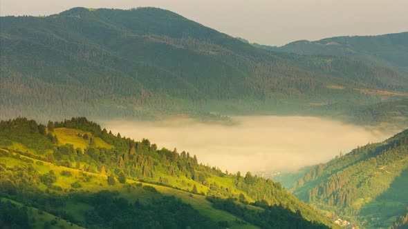 Wonderful Summer Forest at Sun Mountain Range alt