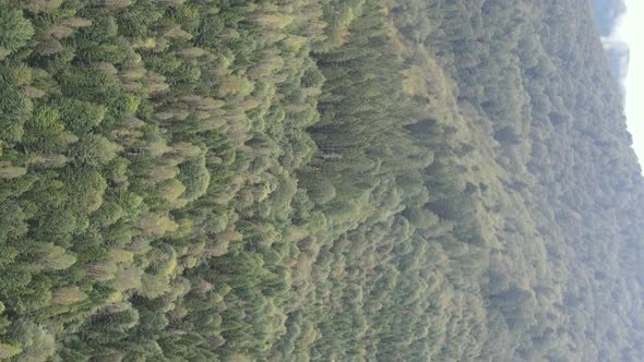 Vertical Video Carpathian Mountains alt