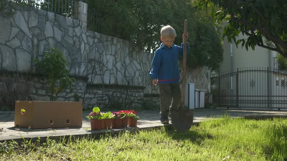 the Boy Is Planting Flowers