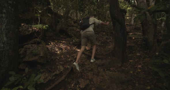 Man in Casual Clothes Climbing Up the Rocky Rainforest Path and Observing Tree Sap on the Tree Trunk alt