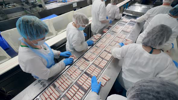 Industrial Employees Are Processing Fish Products. Factory Workers Assembling Products alt
