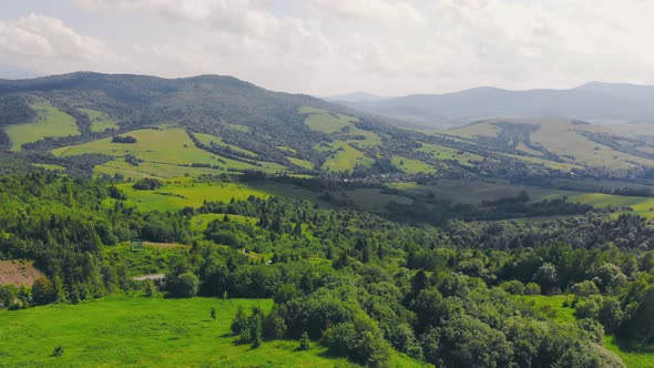 Aerial Flying Over a Forest of Green Trees. Background of Green Trees. Drone Footage alt