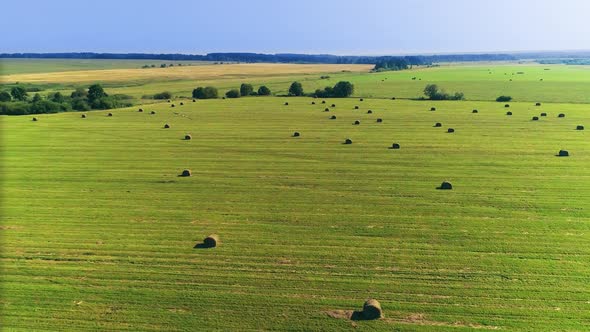 Flying above Field with Stacks. A Close-Up Drone Shot of a Hawk. alt