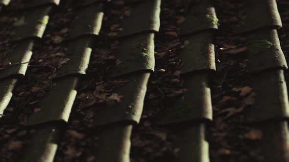 Old Tile Roof with Moss alt