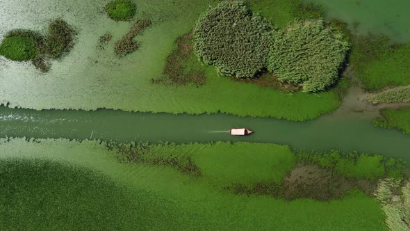 aerial view of tour boat on Lake Skadar with water green lilies and water chestnut. Lake Scutari,