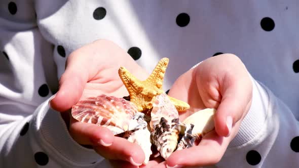 Slow Motion Female Hands Showing Sea Shells Starfish From Vacation alt