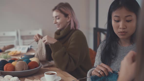 Attractive girls in studio alt