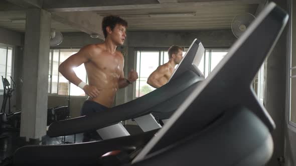 Doing Fitness Exercise. Athletic People Actively Workout in the Modern Gym alt