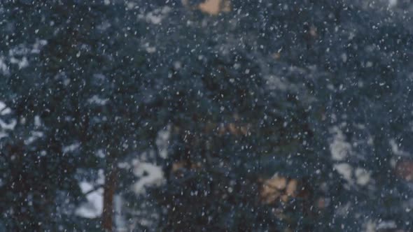 Snowfall. City distance. Frosty cold weather. Slow motion