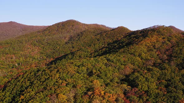 Green Yellow Red Crowns of Trees in Deciduous Forest in Autumn in October alt
