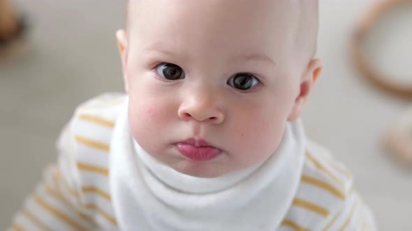 Portrait of Curious Child at Home alt