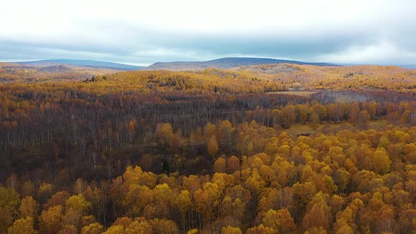 Drone Flight Over the Autumn Forest and Hills alt