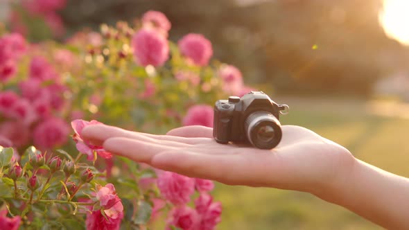 A Small Toy Camera in the Palm of a Girl Against the Backdrop of a Sunset and Flowers on the Street