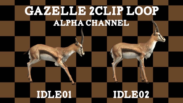Gazelle 2 Cip Alpha Loop