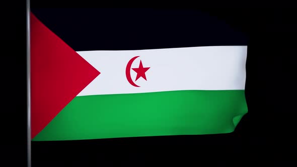 Western Sahara Flag Animation 4k