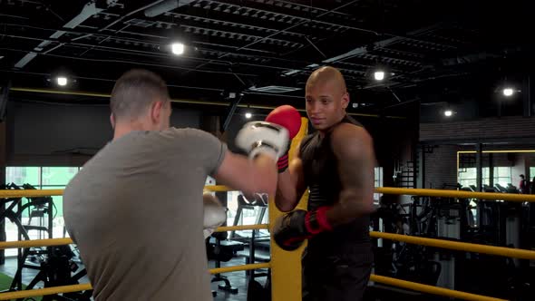 Two Male Boxers Sparring in Boxing Ring at the Gym alt
