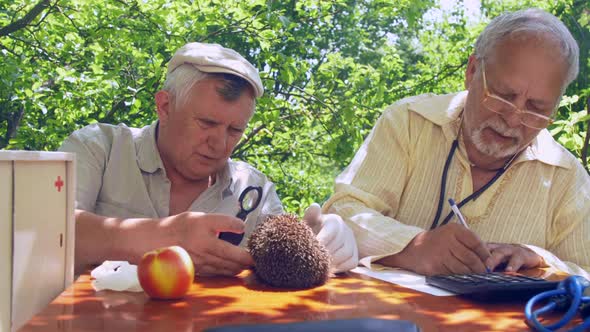 Aged Man Looks at Hedgehog and Dictates Results To Friend alt