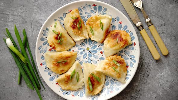 Fried Dumplings with Meat alt
