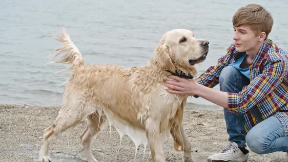 Boy Stroking Happy Labrador Dog after Swimming alt