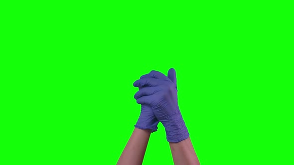 Hands in Blue Medical Gloves Is Processing and Thoroughly Wipe Disinfectant, Green Screen, Close Up alt