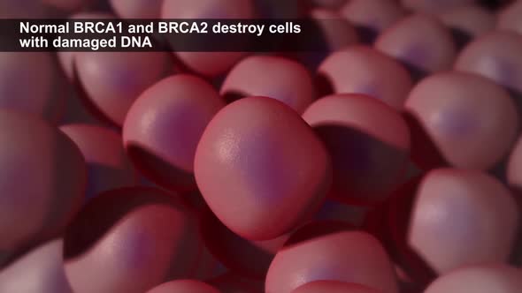 Defects due to DNA damage lead to tumor and cancer formation and death of healthy cells. alt