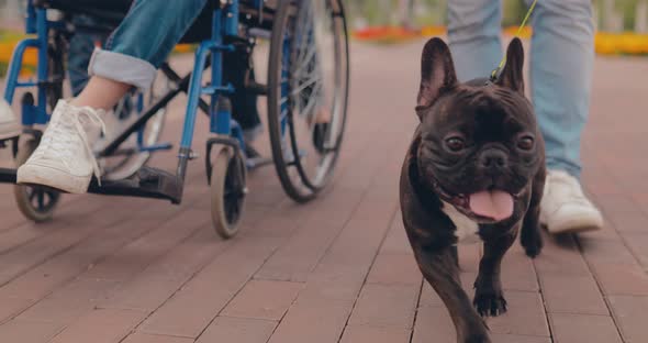 Dog Runs Alongside His Master Guy in a Wheelchair