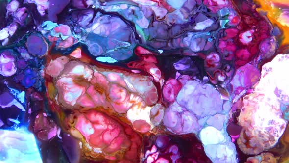 Abstract Colorful Invert Sacral Paint  Exploding Texture 438 alt