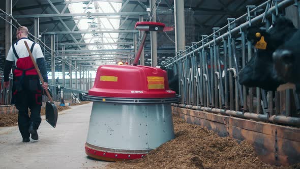 Automated Machine is Pushing Hay Closer to the Cows alt