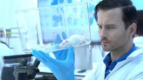 Scientist observing behavior experiment animals in lab