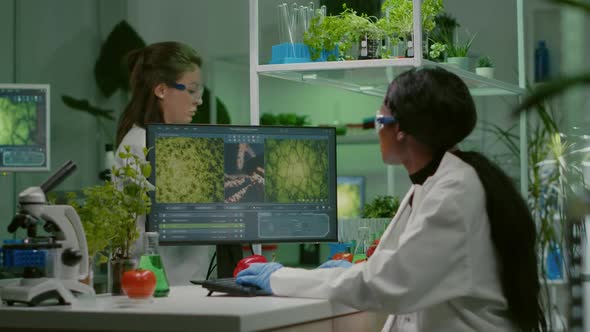 Biologist Researcher Typing Gmo Expertise on Computer alt