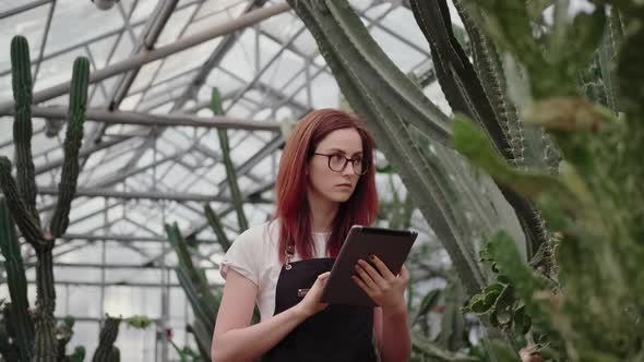 Woman in a Greenhouse with Tropical Plants and Cacti Takes Notes