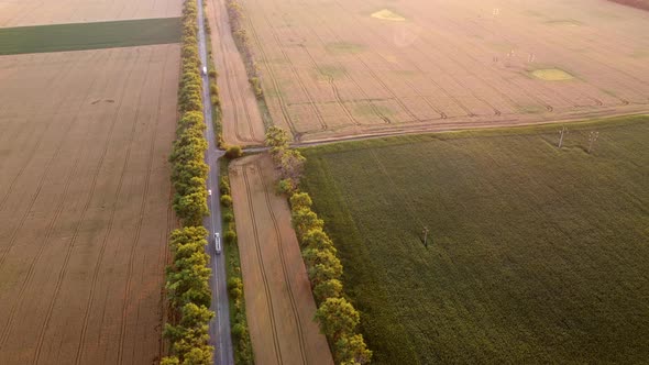 Drone Flying Over Road Between Wheat Fields During Dawn Sunset alt