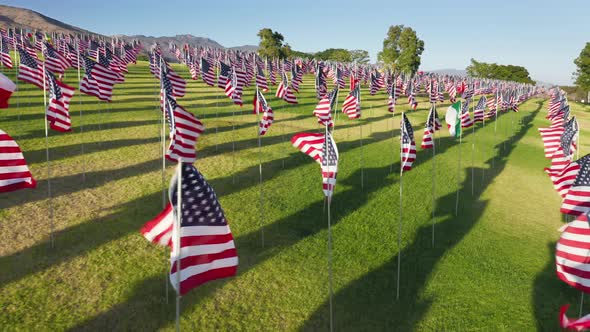 A Vast Display of American and International Flags Installed in Picturesque Park alt