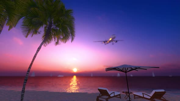 Palms Tree And Airplane At Sunset