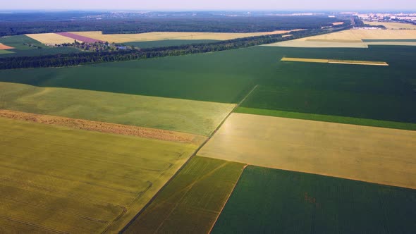 Aerial Drone View Flight Over Different Agricultural Fields Sown alt