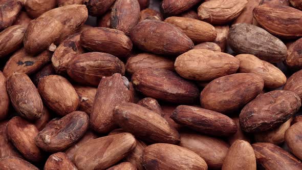 rotating cocoa beans background close up